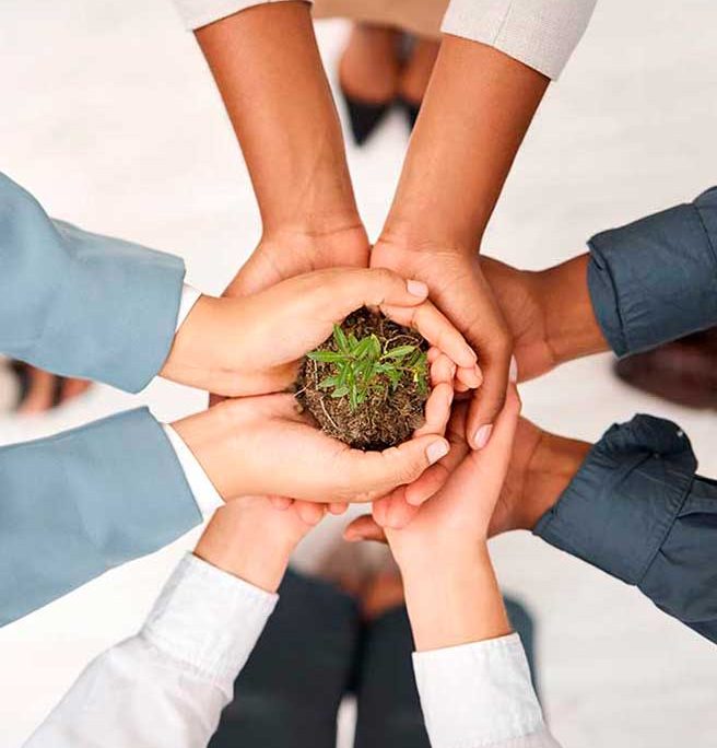 CIRCULAR ECONOMY CONSULTING