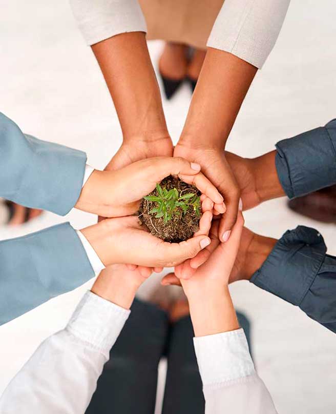 CIRCULAR ECONOMY CONSULTING